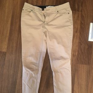 Cato kakis 🎉 2 for 20